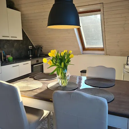 Apartment App No 1